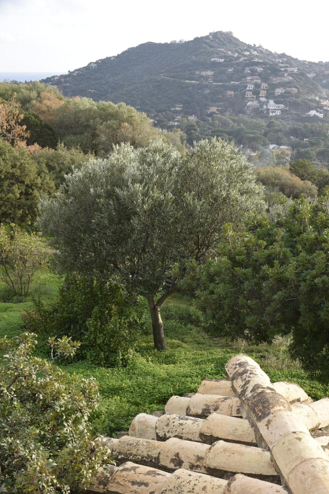 Holiday Home Riccio Di Mare Sardinia Marongiu Exterior foto